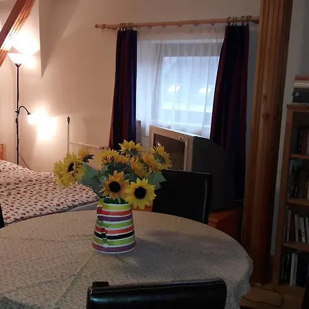 Apartment Vecsey *